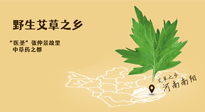 艾草越嫩越好，還是越久越好？悄悄告訴你：艾草這樣用，效果最好！