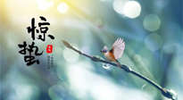 【二十四節氣灸】驚蟄節氣，艾灸喚醒抵抗力、補充陽氣的最好時機！