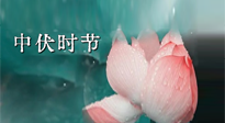 【艾灸三伏天】中伏：三伏灸的關(guān)鍵轉(zhuǎn)折點！“灸”除病根的大好時機！