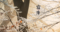 【二十四節(jié)氣灸】霜降節(jié)氣：艾灸四穴，護您冬天安然無恙！
