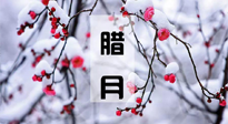 【臘月養生】調氣血、補陽氣、促進良好睡眠，健康一整年！