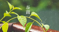 【二十四節氣灸】谷雨節氣脾土濕，艾灸降濕濁，脾旺不受邪！